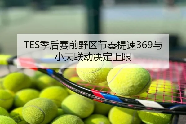 TES季后赛前野区节奏提速369与小天联动决定上限