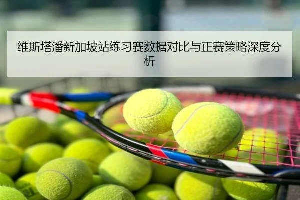 维斯塔潘新加坡站练习赛数据对比与正赛策略深度分析